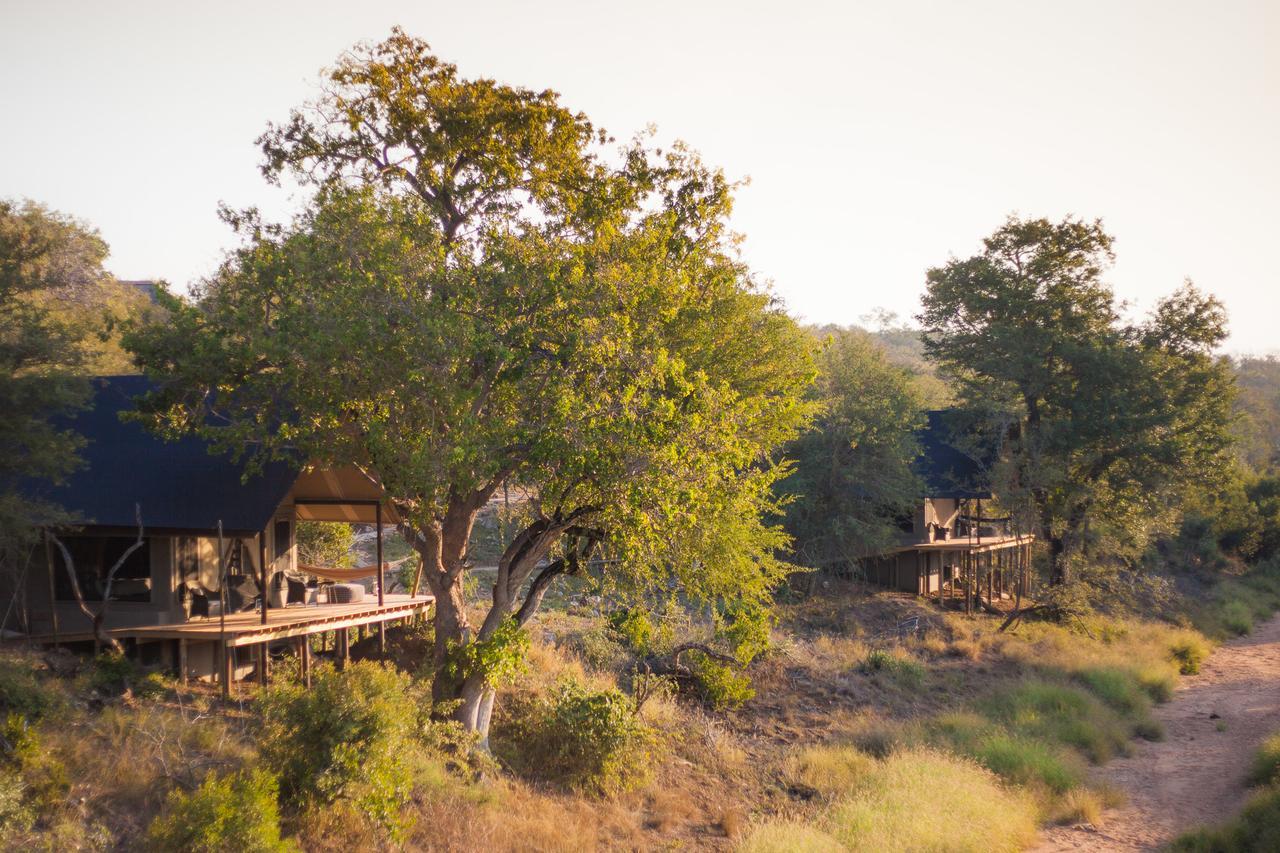 Garonga Safari Camp Villa Makalali Game Reserve Esterno foto